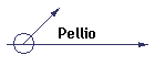 Pellio