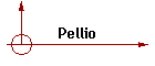 Pellio
